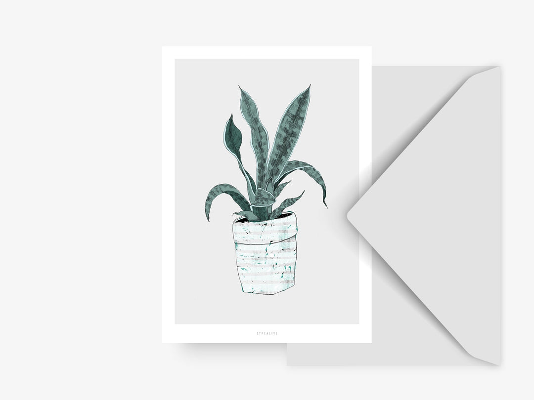 Grußkarte | Wallplant No.2