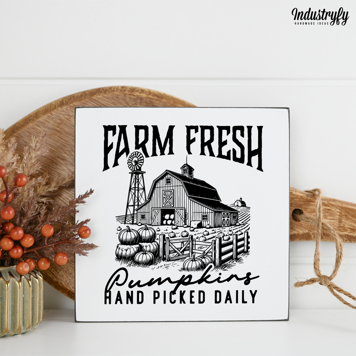 Miniblock | Farm fresh pumpkins no9