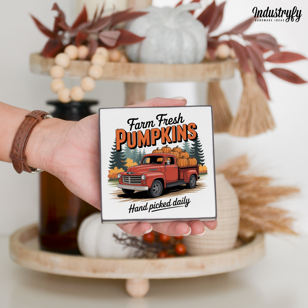 Miniblock | Farm fresh pumpkins no8