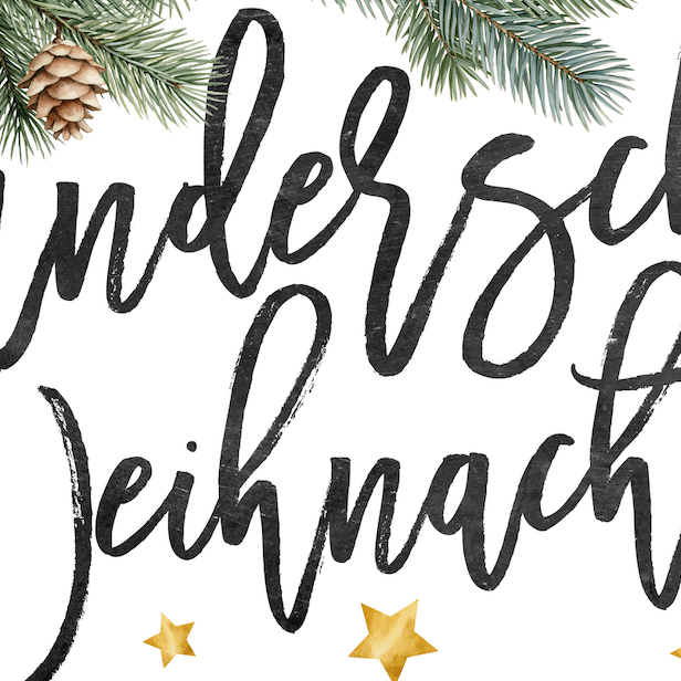 Landhaus Schild Wunderschöne Weihnachtszeit, Detailansicht Schriftzug mit Tannenzweig und goldenen Sternen von Industryfy