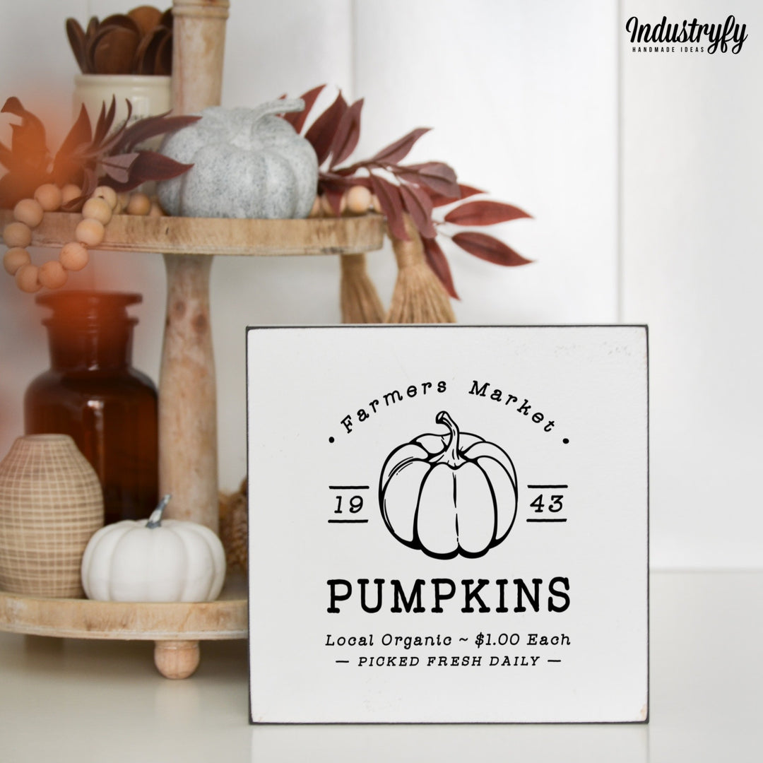 Miniblock | Farmers market pumpkins