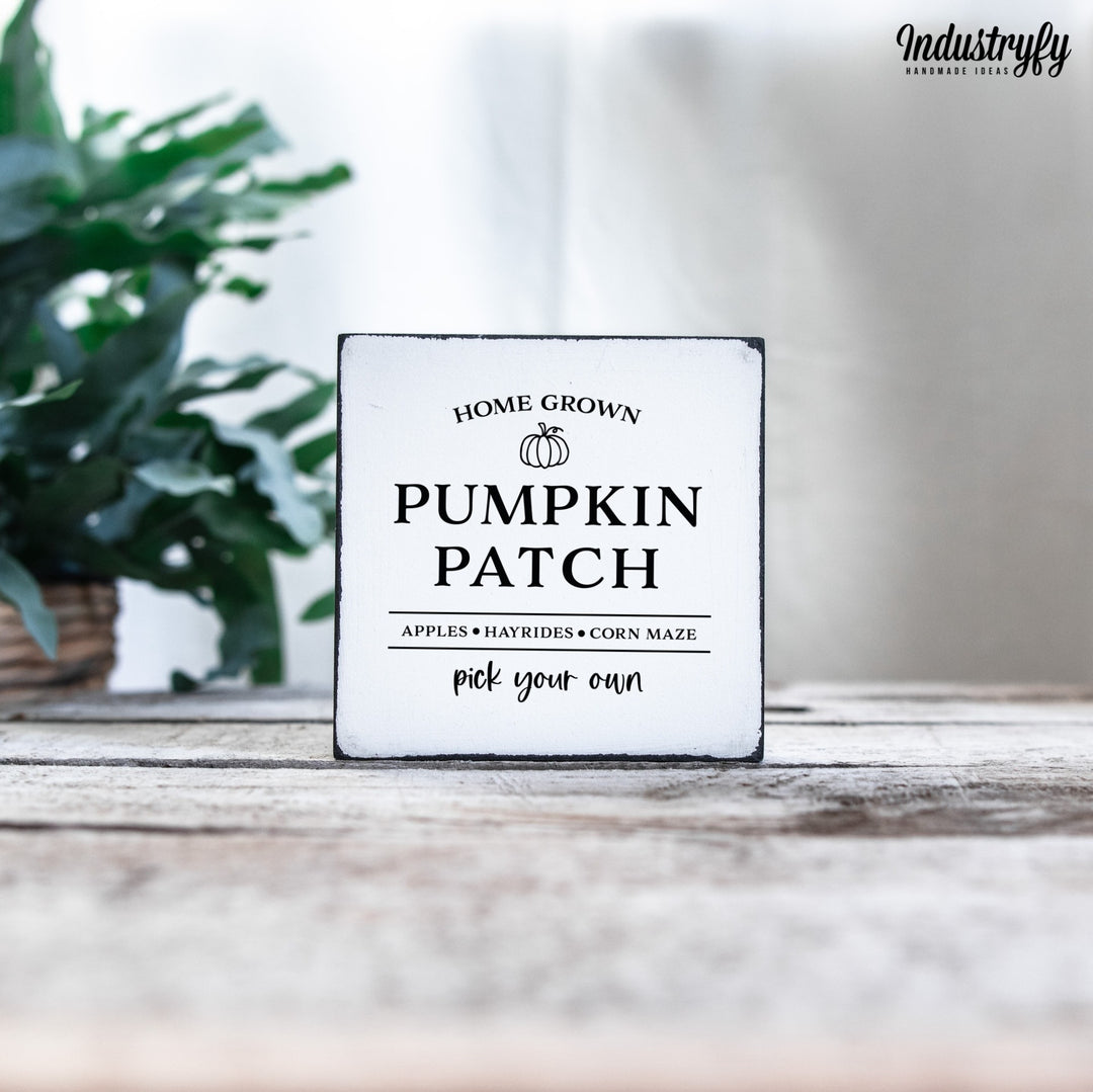 Miniblock | Home grown Pumpkin Patch
