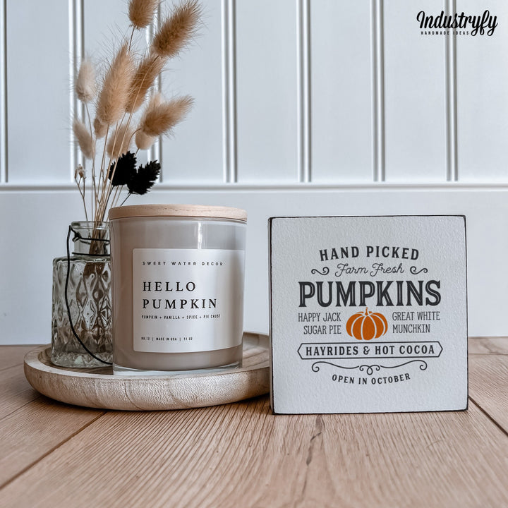 Miniblock | Handpicked Farm Fresh Pumpkins